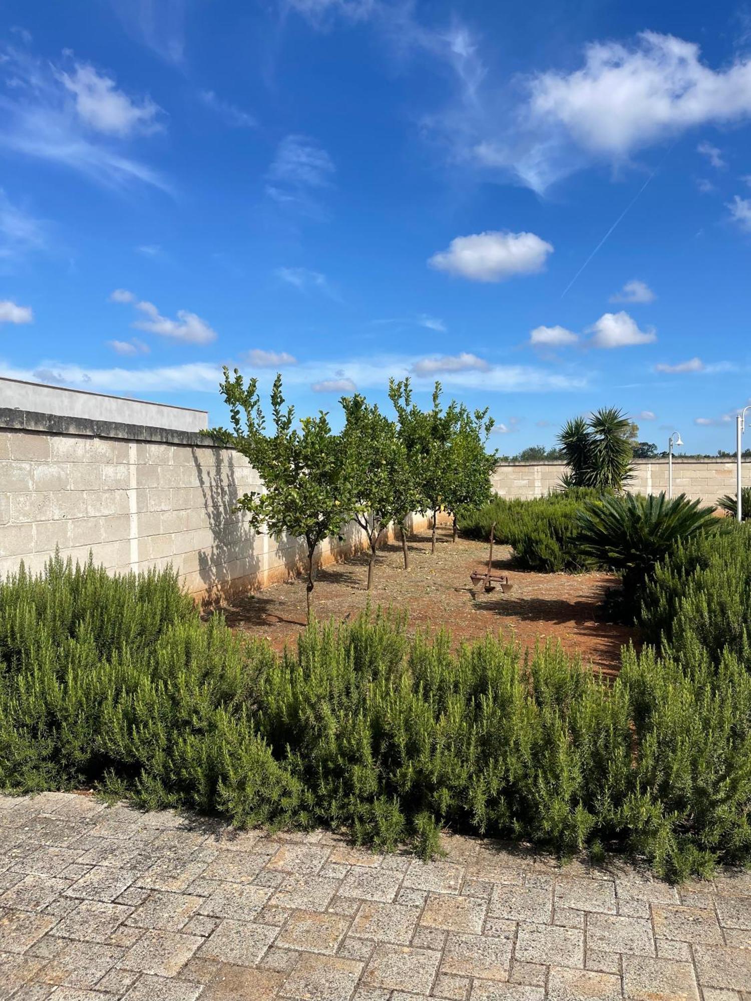 Masseria Don Bonifacio Castellana Grotte Exteriér fotografie